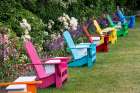 Oregon. Garden in full bloom with row of colorful chairs amongst bearded iris and Russell lupine. Art Print
